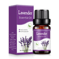 Essential Oils For Car Freshener