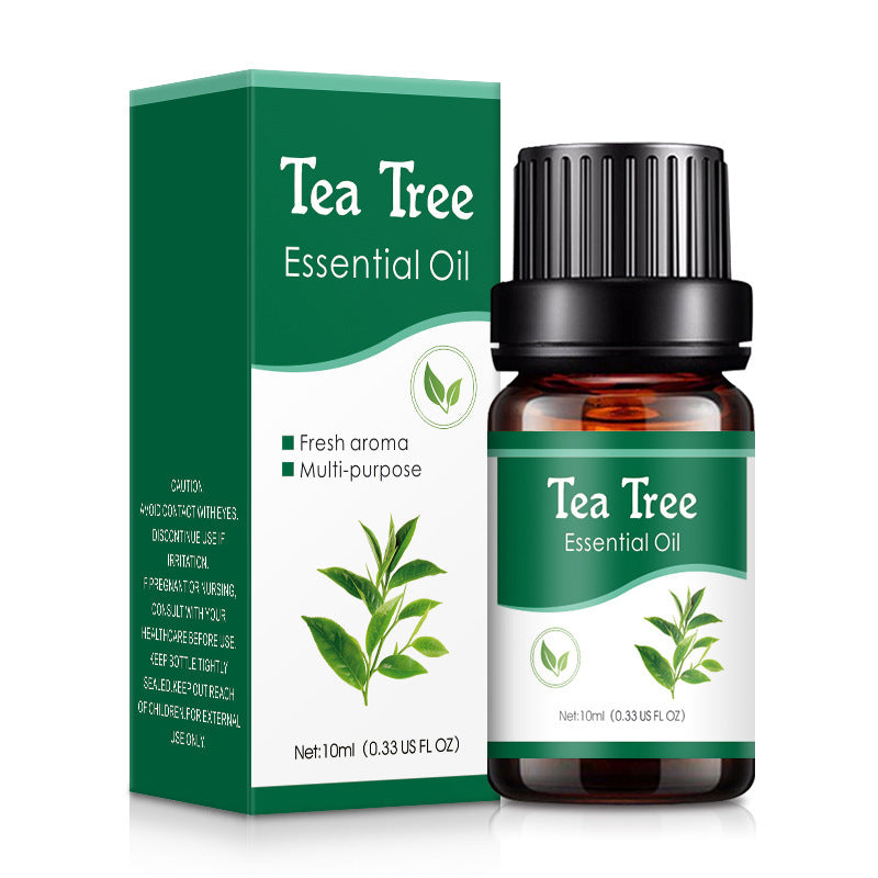 Essential Oils For Car Freshener