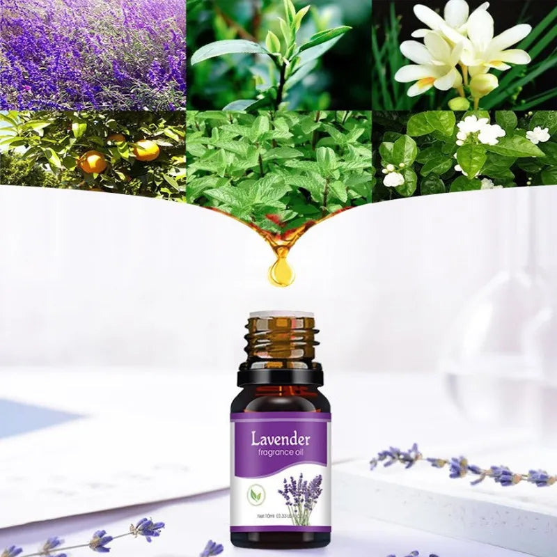 Essential Oils For Car Freshener